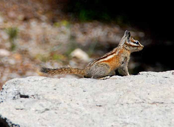 Mt. Lassen National Park