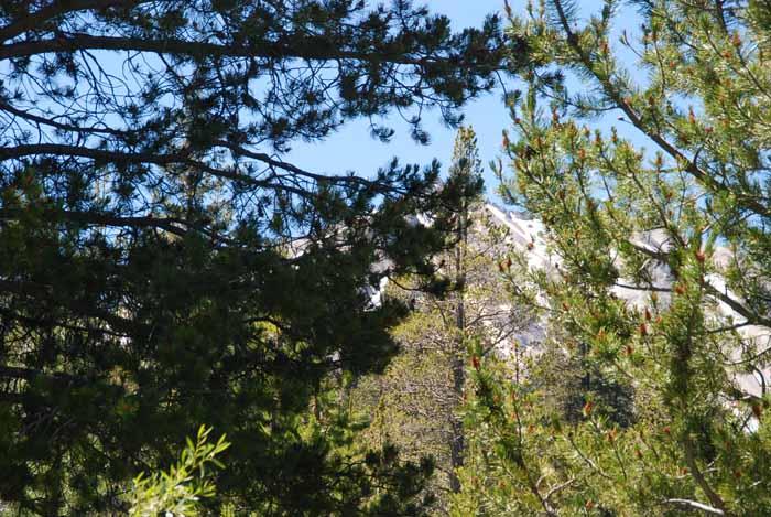 Mt. Lassen National Park