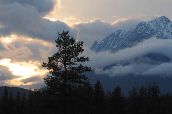 Banff & Jasper, 2011