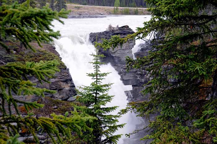 Jasper National Park