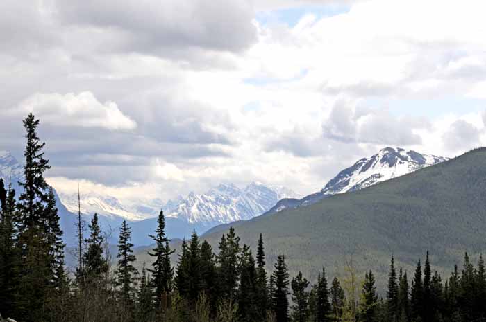 Jasper National Park