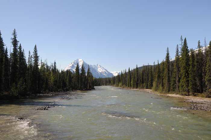 Jasper National Park