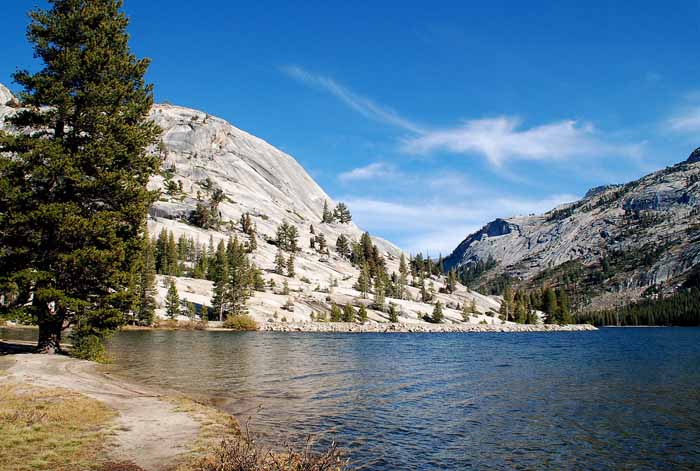 Yosemite NP at 8,000 ft