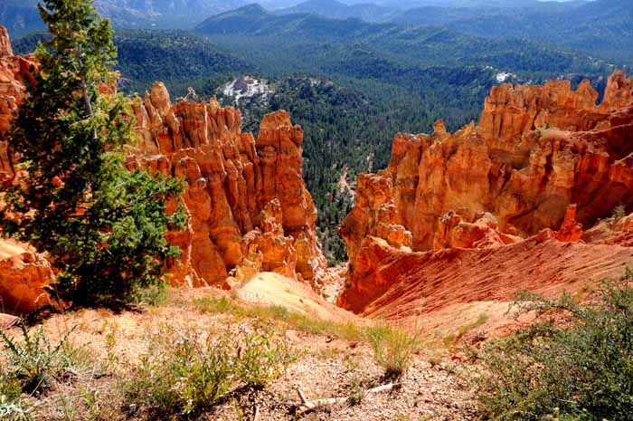 Cedar Breaks,Red Canyon,Bryce Canyon NP