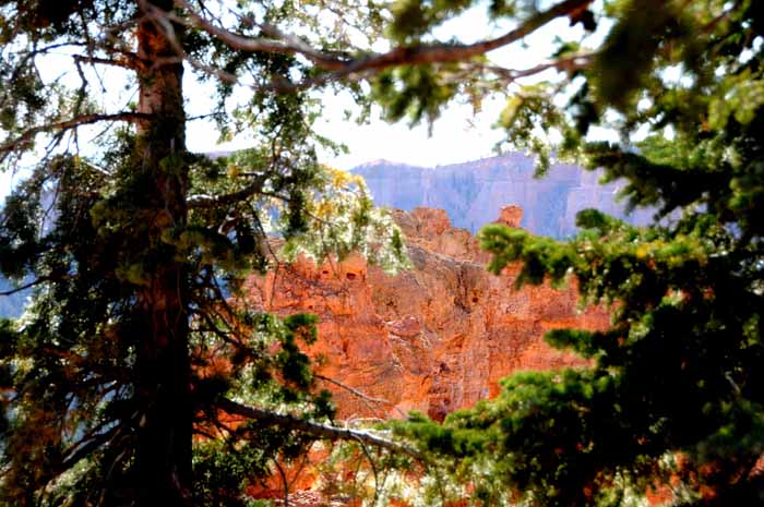 Cedar Breaks,Red Canyon,Bryce Canyon NP