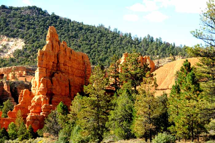 Cedar Breaks,Red Canyon,Bryce Canyon NP