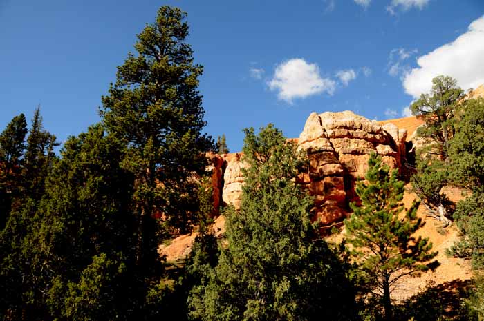 Cedar Breaks,Red Canyon,Bryce Canyon NP