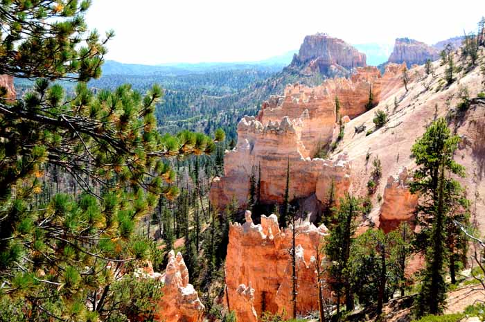 Cedar Breaks,Red Canyon,Bryce Canyon NP