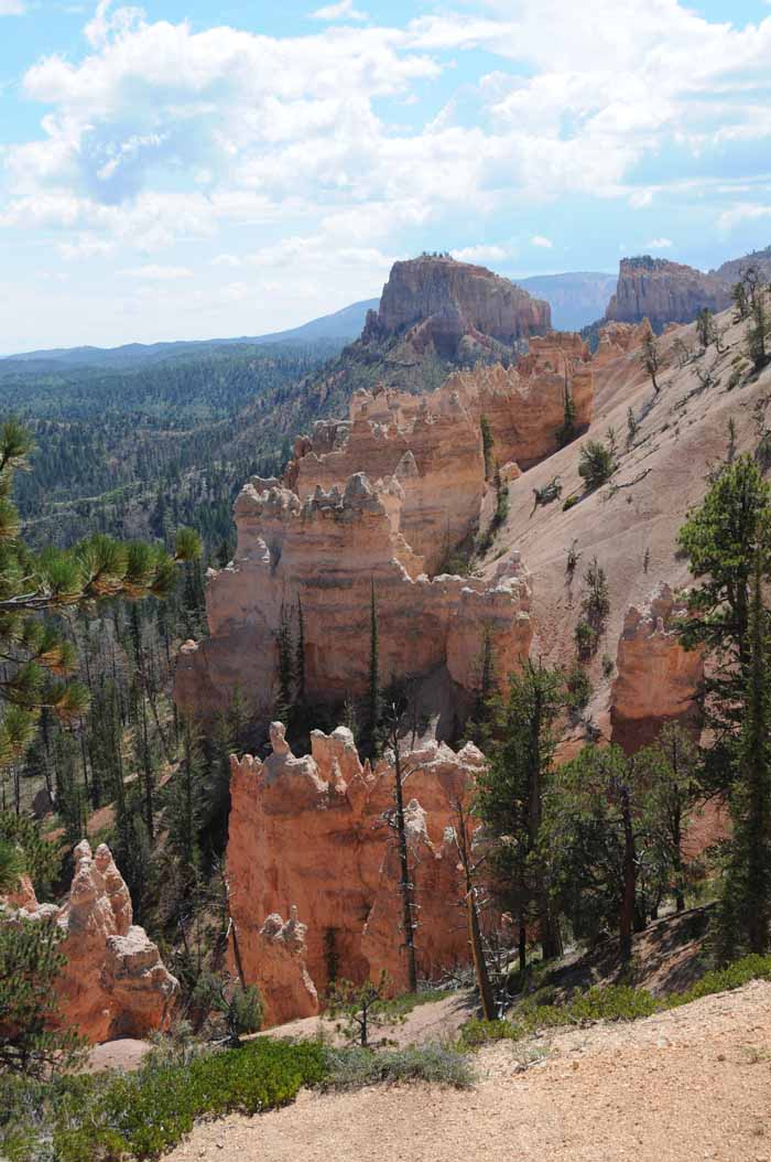 Cedar Breaks,Red Canyon,Bryce Canyon NP