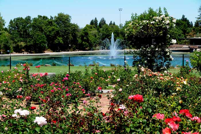 the Gardens at Heather Farm,Walnut Creek,CA