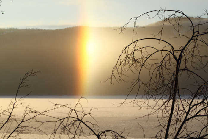 Winter Sun Dog.JPG