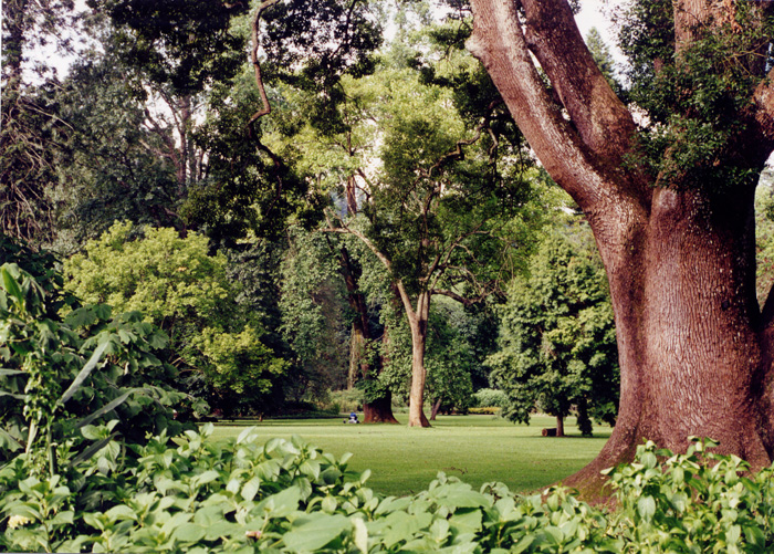 Pietermaritzburg Gdns.jpg