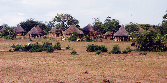 Zim Village.jpg