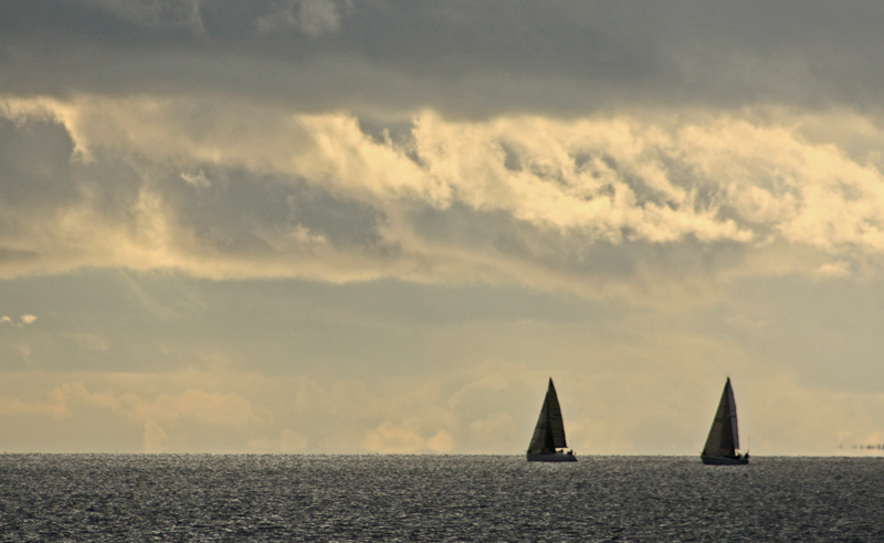 Evening sails.jpg