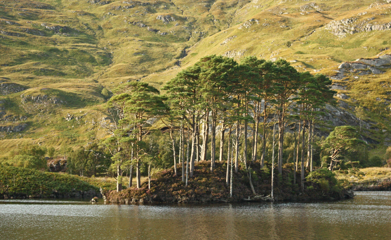 Highland Lochs