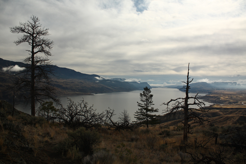 Kamloops Lake.jpg