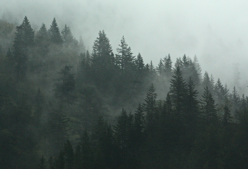 Misty Mountain.jpg