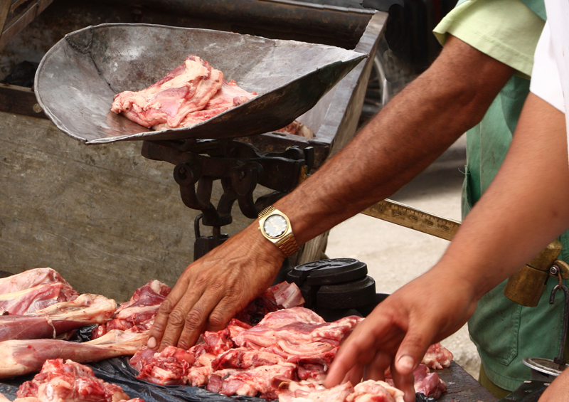 Excursion to Rafael Freyre Market