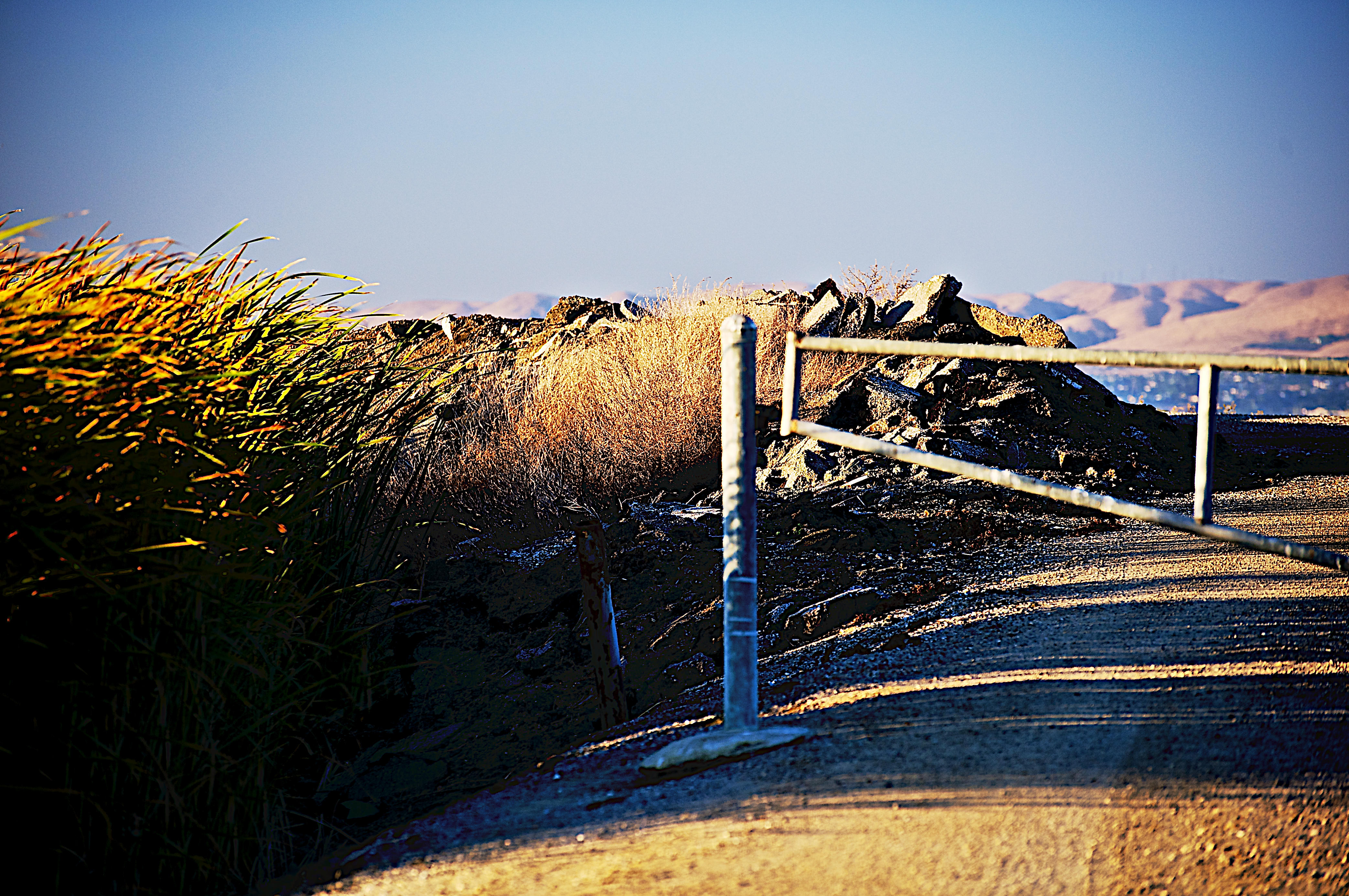 gate