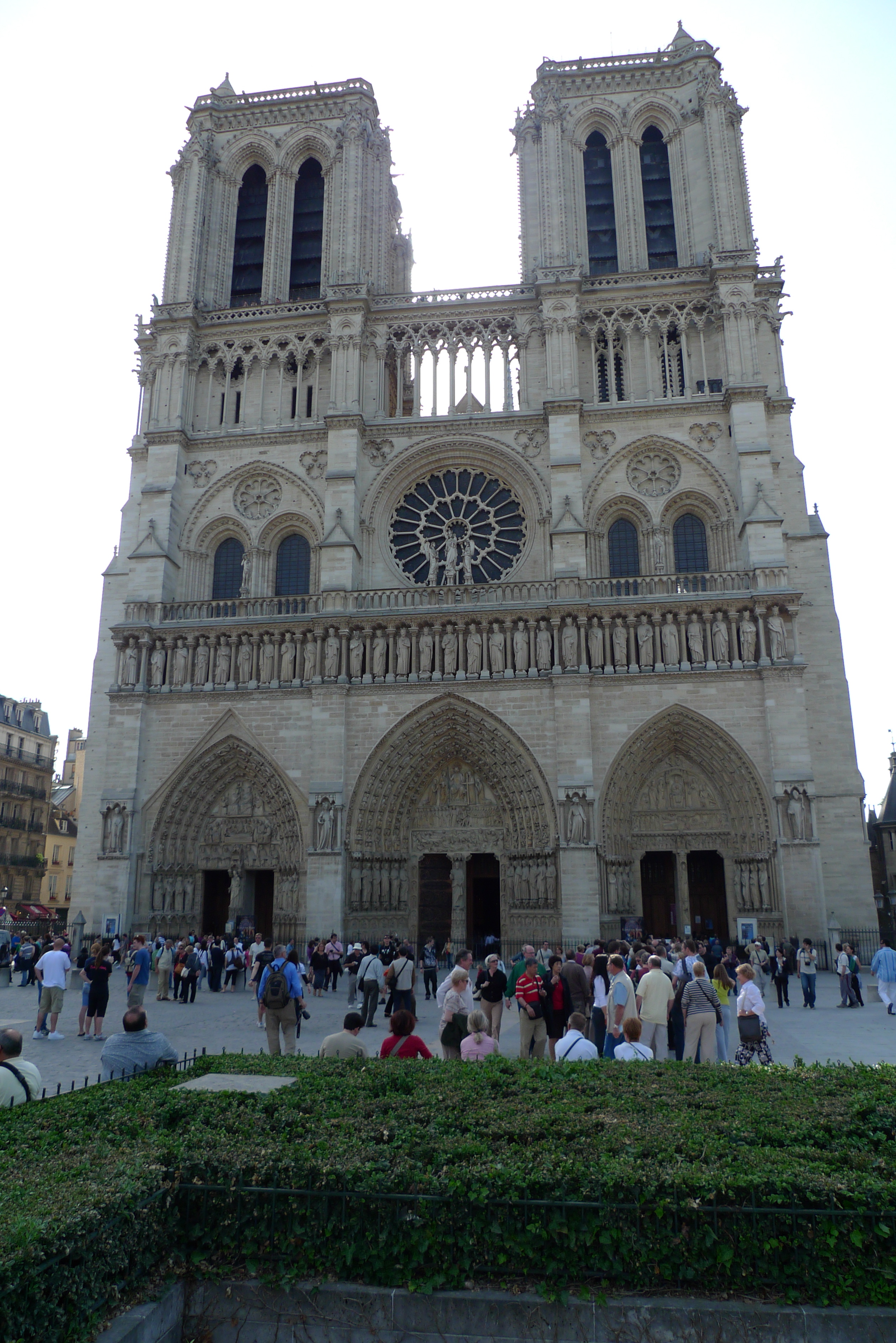 P1000654.jpg