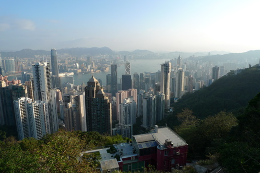 P1000174.jpg