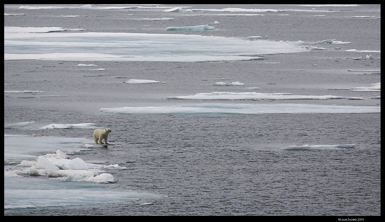 Svalbard_1812.jpg