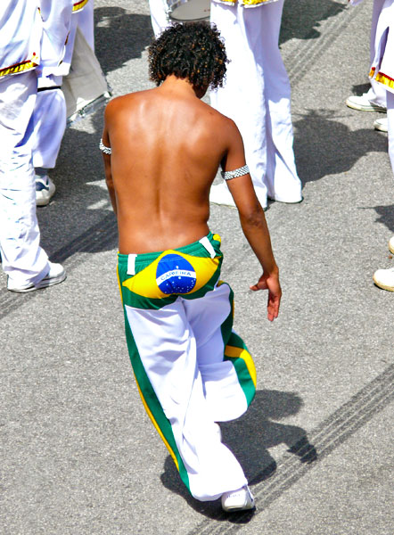P1520636.jpg