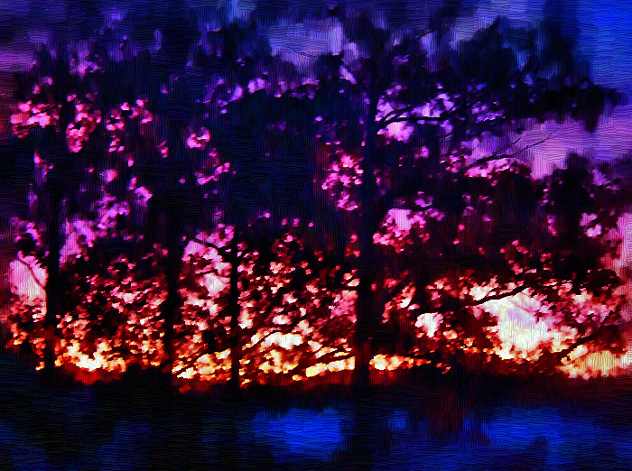 P1380729art.jpg