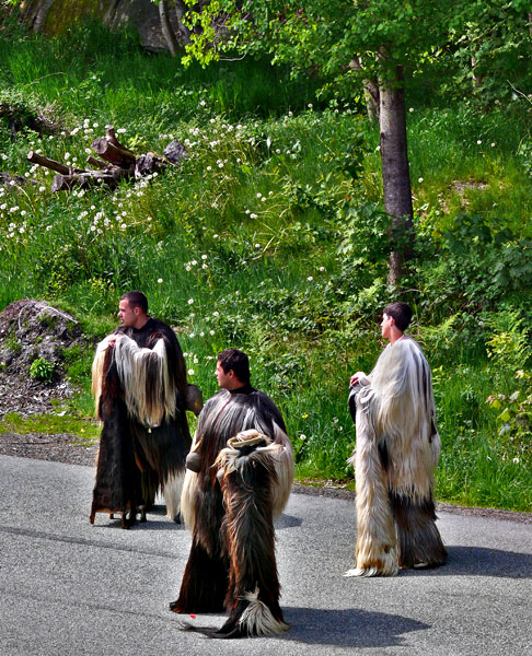 P1110411.jpg