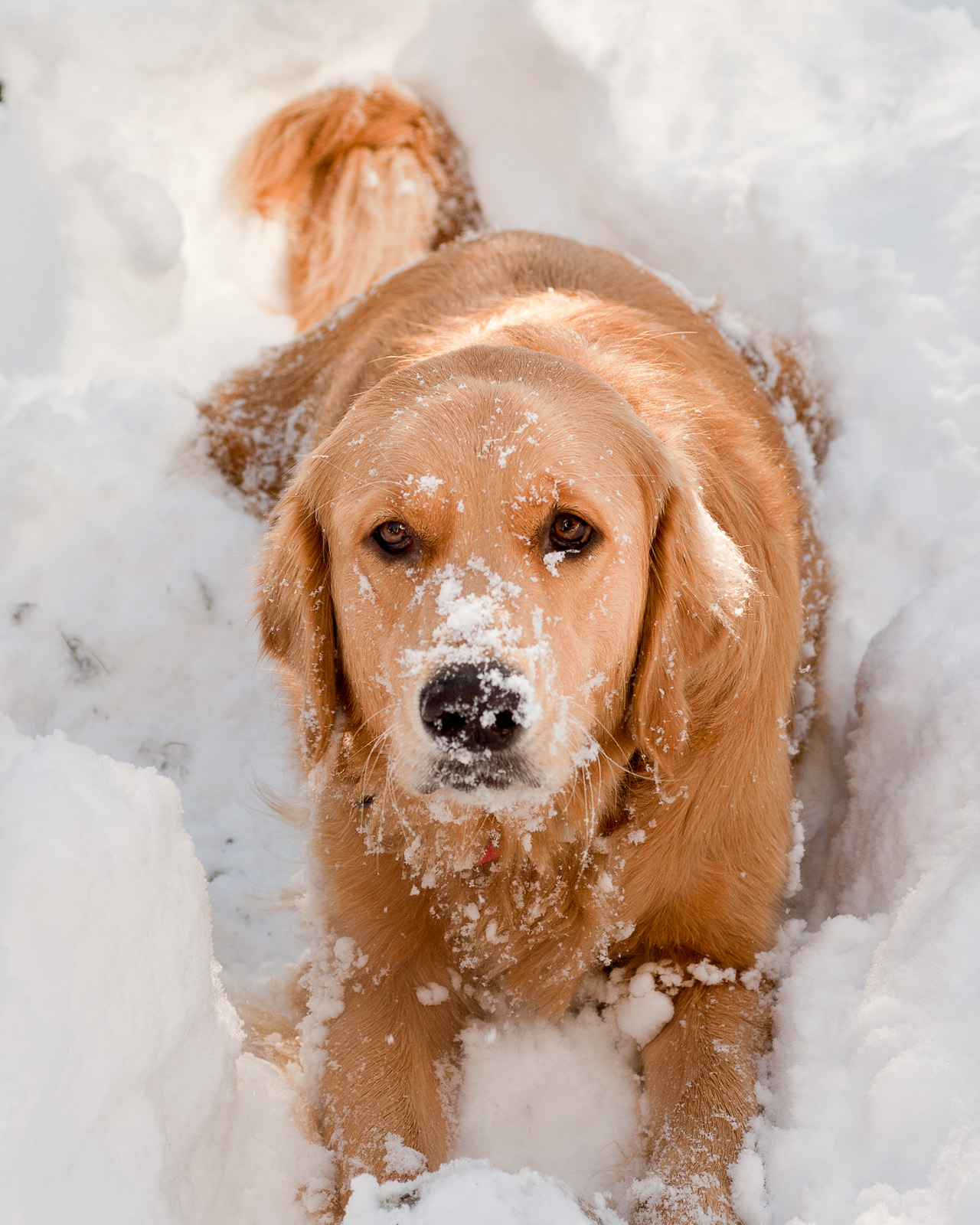 I like snow!