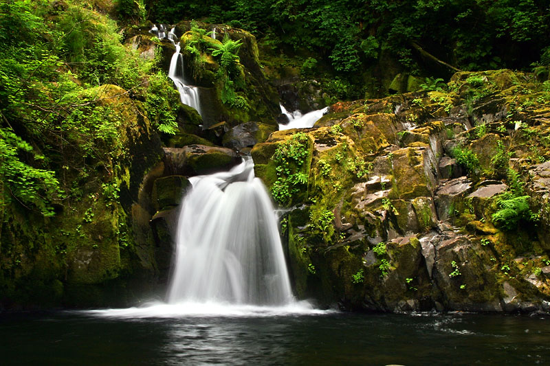 Sweet Creek Falls