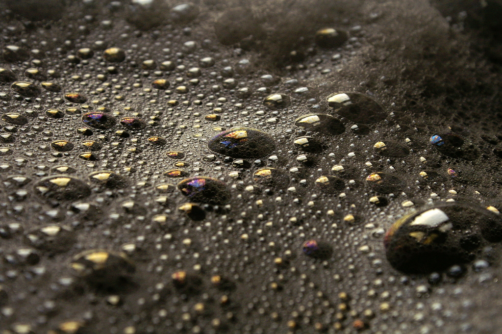 PICT0436.jpg
