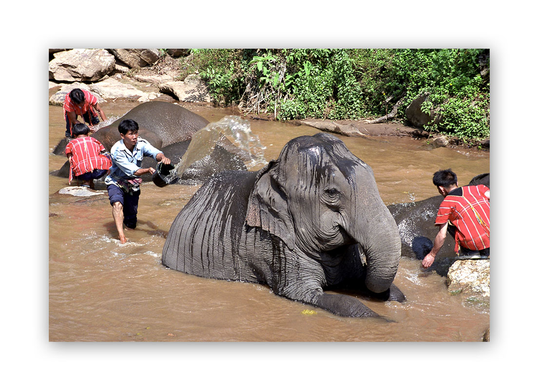 Chiang Mai