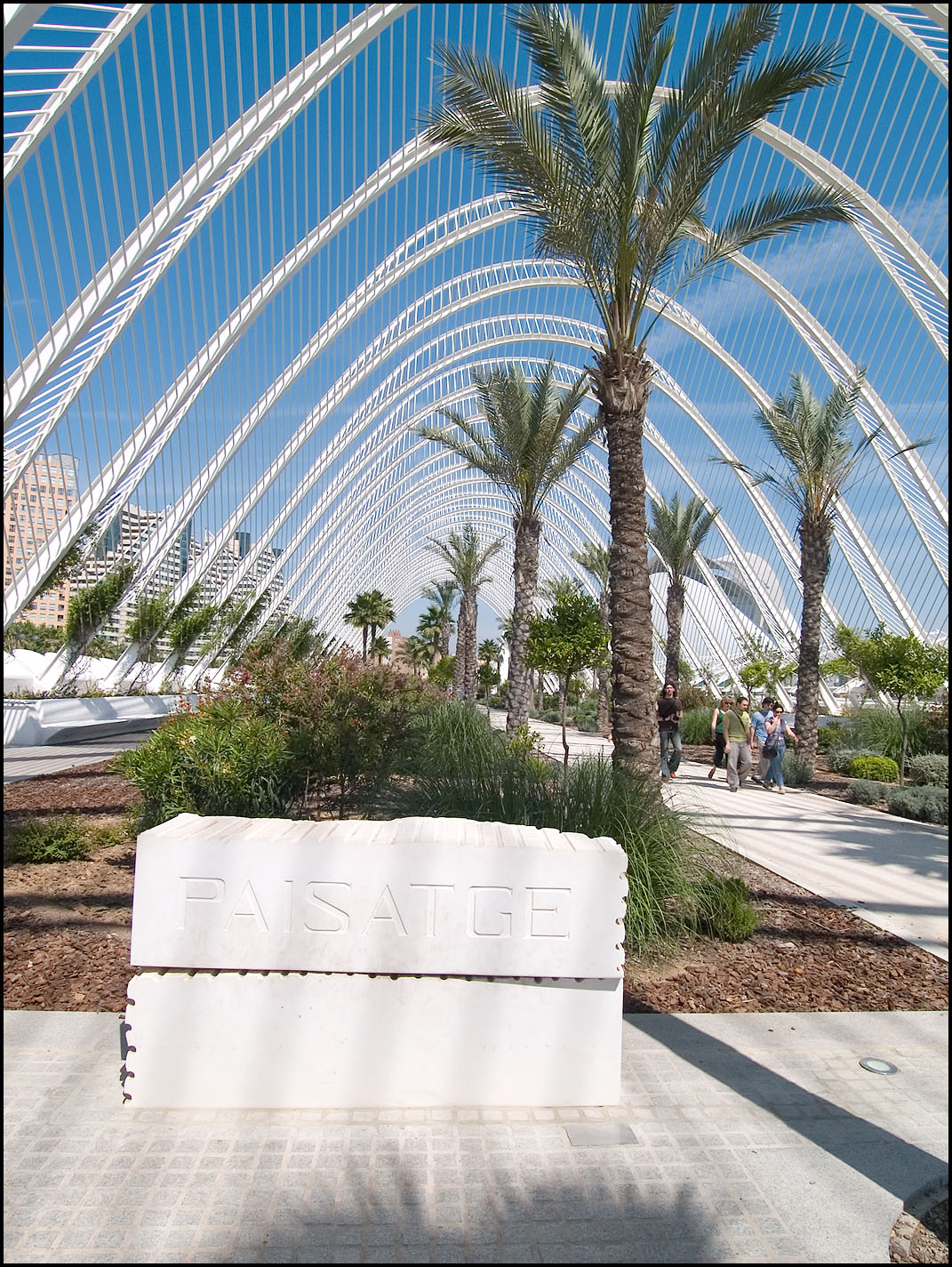 Ciudad de las Artes y de las Ciencias