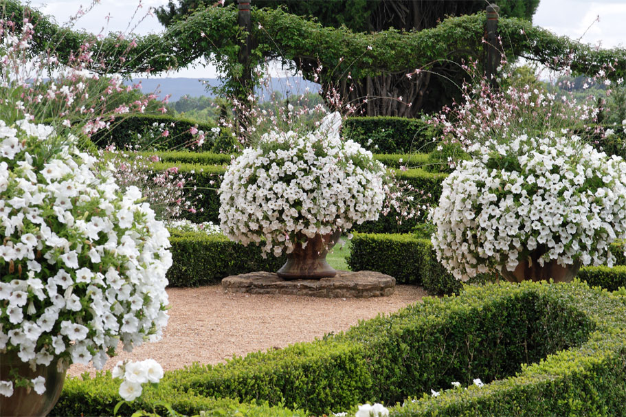 Jardin blanc