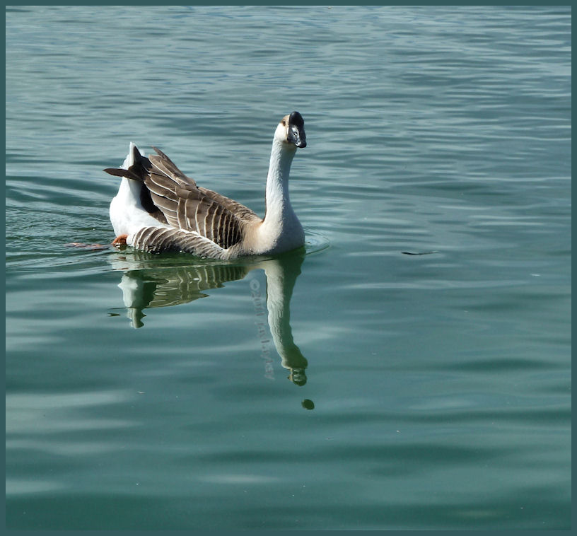 20110302_14.JPG