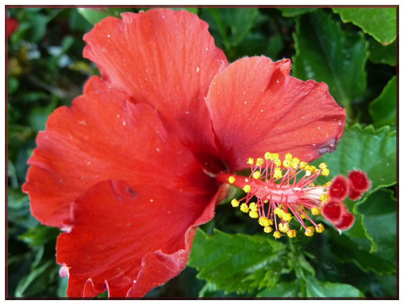 20110404_9.JPG