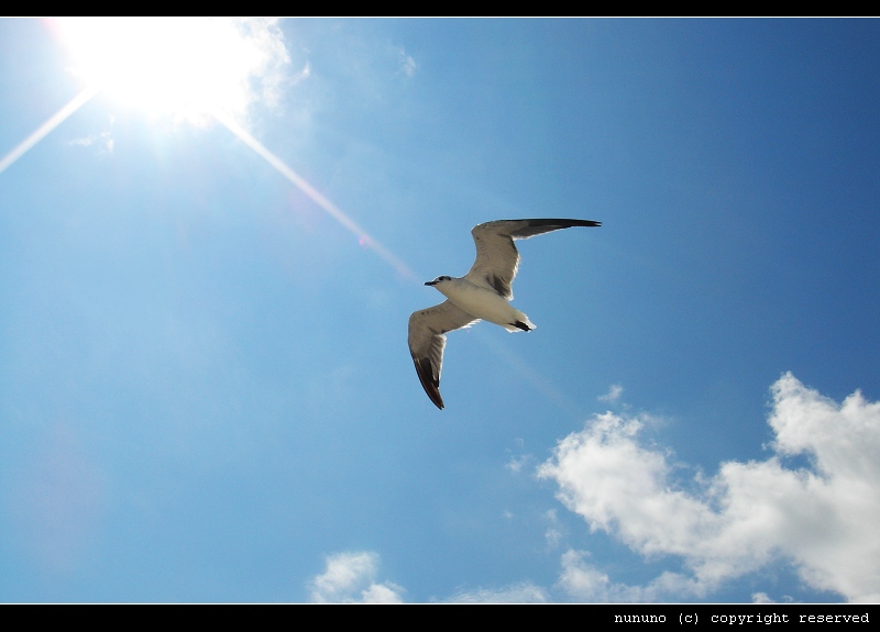 DSC00856.JPG