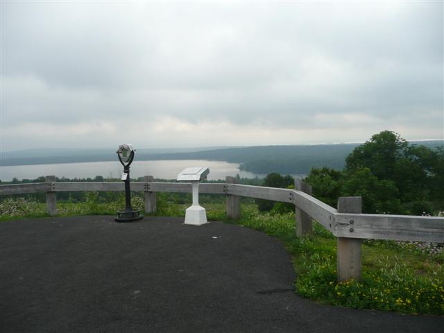 P1010067 (Small).JPG