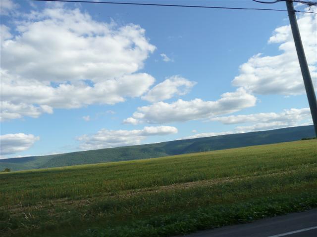 P1020405 (Small).JPG