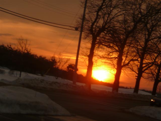 P1030971 (Small).JPG