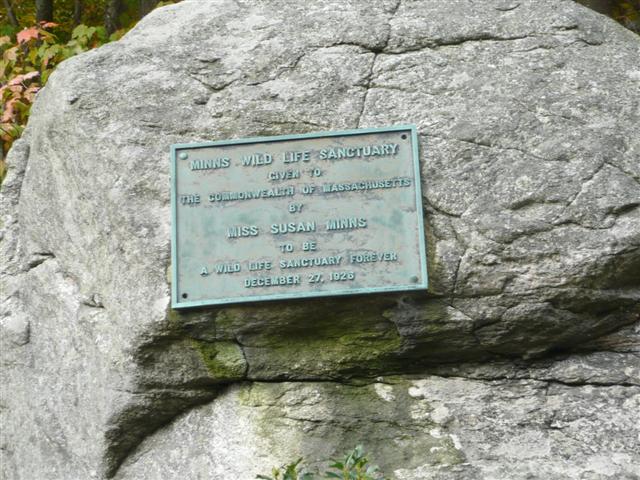 P1030043 (Small).JPG