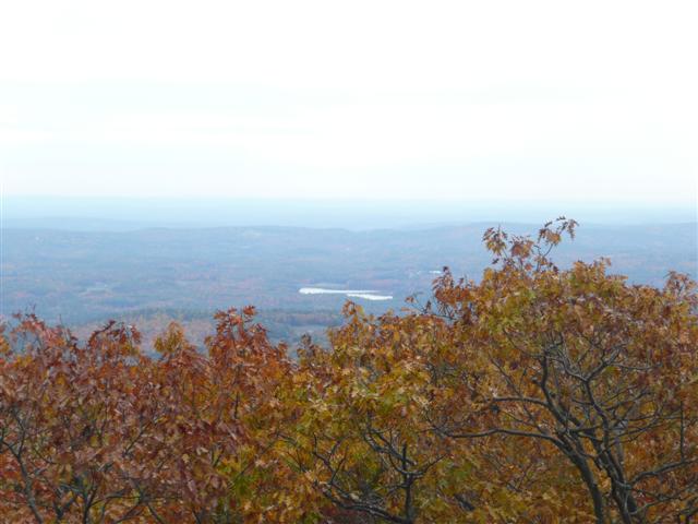 P1030067 (Small).JPG