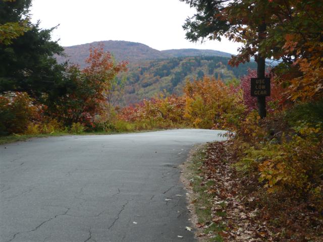 P1030077 (Small).JPG