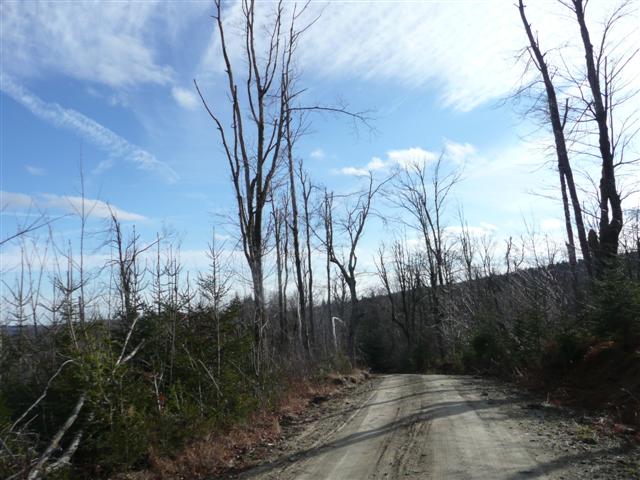 P1070547 (Small).JPG