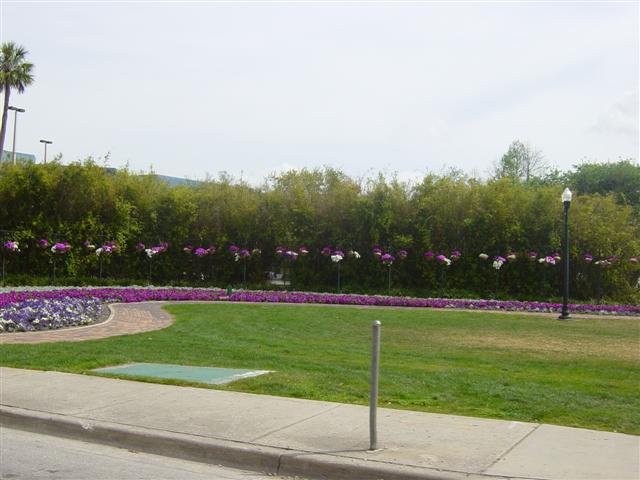 DSC01432 (Small).JPG