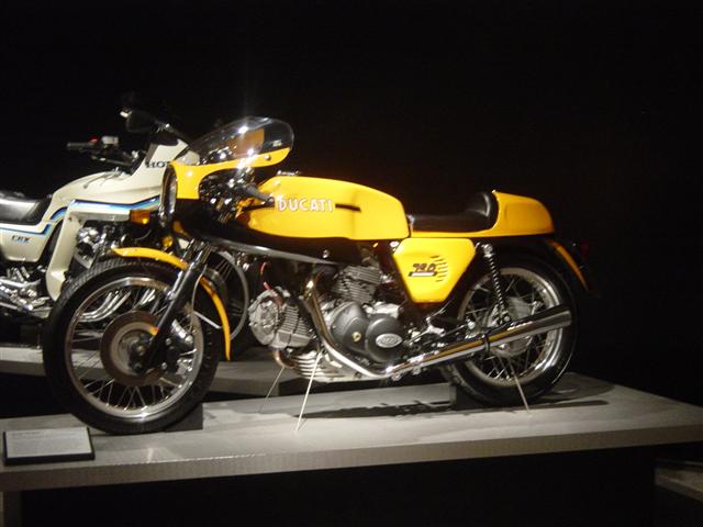 DSC01459 (Small).JPG