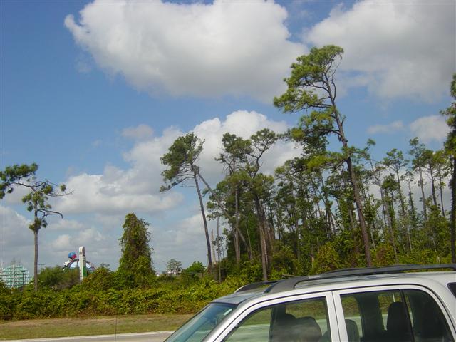 DSC01537 (Small).JPG