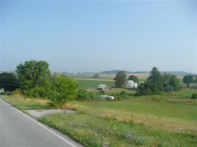 P1080429 (Small).JPG