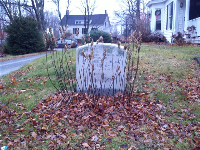 2010-12-13_11-46-02_571 (Small).jpg